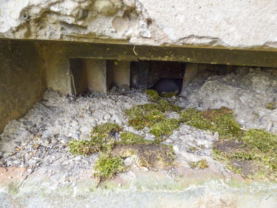 Ligne Maginot - WISSEMBOURG NORD EST - (Poste GRM - Maison Forte) - Le troisième créneau en façade
Détail du bouchon bétonné