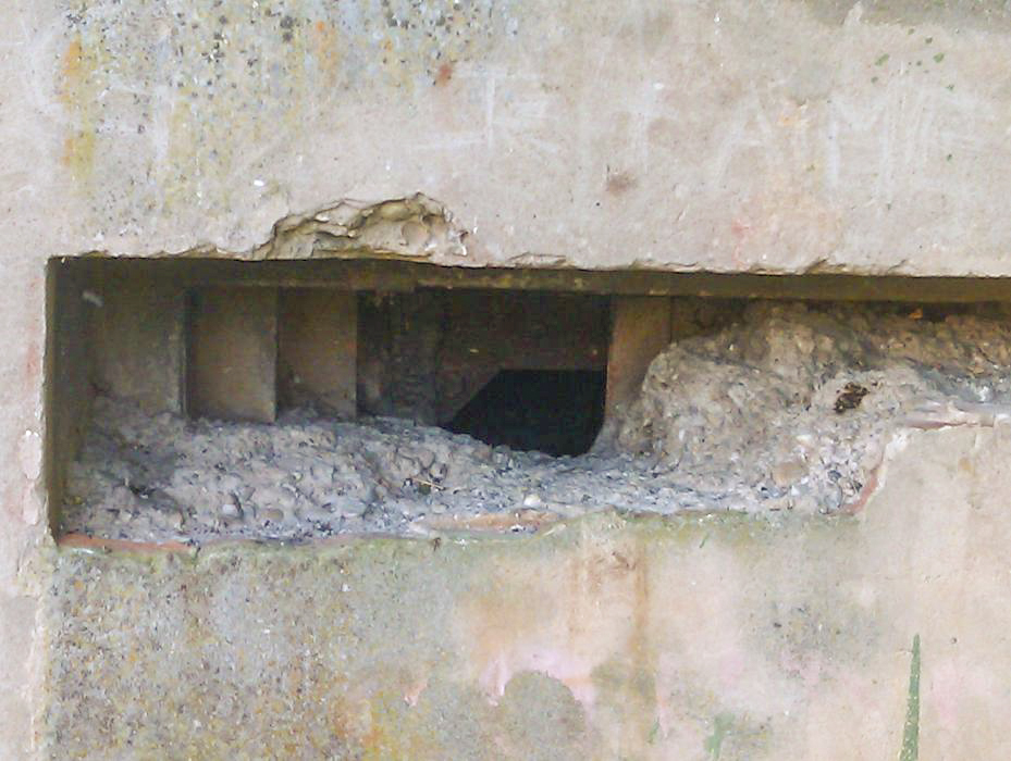 Ligne Maginot - WISSEMBOURG NORD EST - (Poste GRM - Maison Forte) - L'embrasure type A pour FM est visible sur cette photo