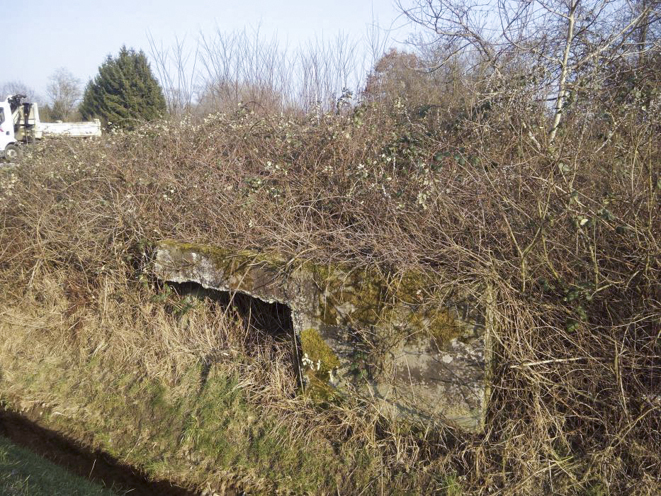 Ligne Maginot - ALTENSTADT- (Poste GRM - Maison Forte) - 