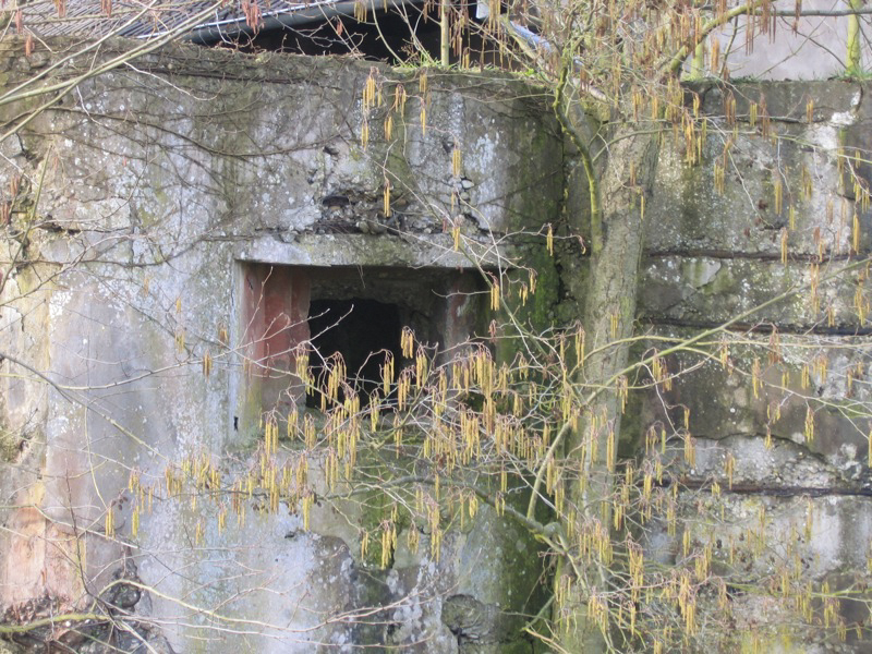 Ligne Maginot - ALTENSTADT NORD - (Poste GRM - Maison Forte) - Créneau FM