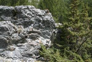 Ligne Maginot - Blockhaus de PLAMPINET Nord 3 - L'ouvrage est accolé à droite au rocher