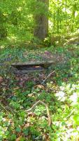 Ligne Maginot - WEISSENACKER 2 - (Blockhaus de type indeterminé) - Vue de devant.
Le poste avait vue directe sur les casemates d'Edling Nord et Sud