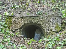 Ligne Maginot - PLAN à MARIN - (Abri) - L'entrée Sud de l'abri