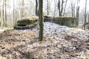 Ligne Maginot - ALLEE DU DEIESLACH 2 - (Blockhaus pour arme infanterie) - 