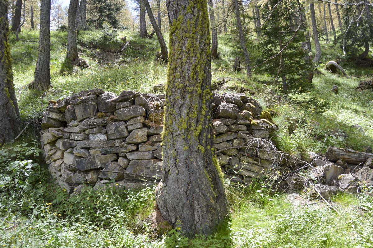 Ligne Maginot - Ancien Camp 3 - Abri - 