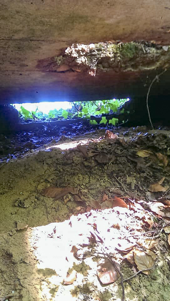 Ligne Maginot - WEISSENACKER 2 - (Blockhaus de type indeterminé) - Vue sur le créneau d observation/tir. Remarquer l'orifice pour périscope de campagne.