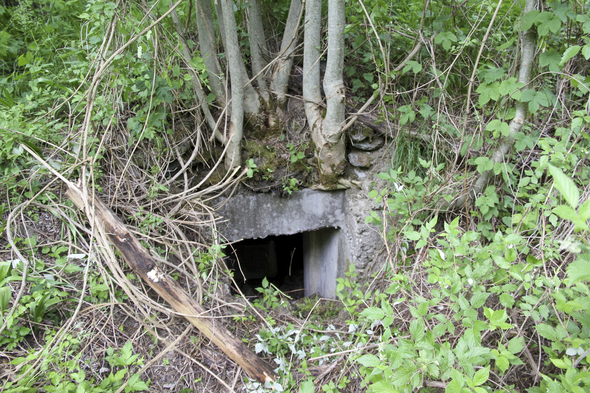 Ligne Maginot - Blockhaus de MONTVALEZAN 1 - 