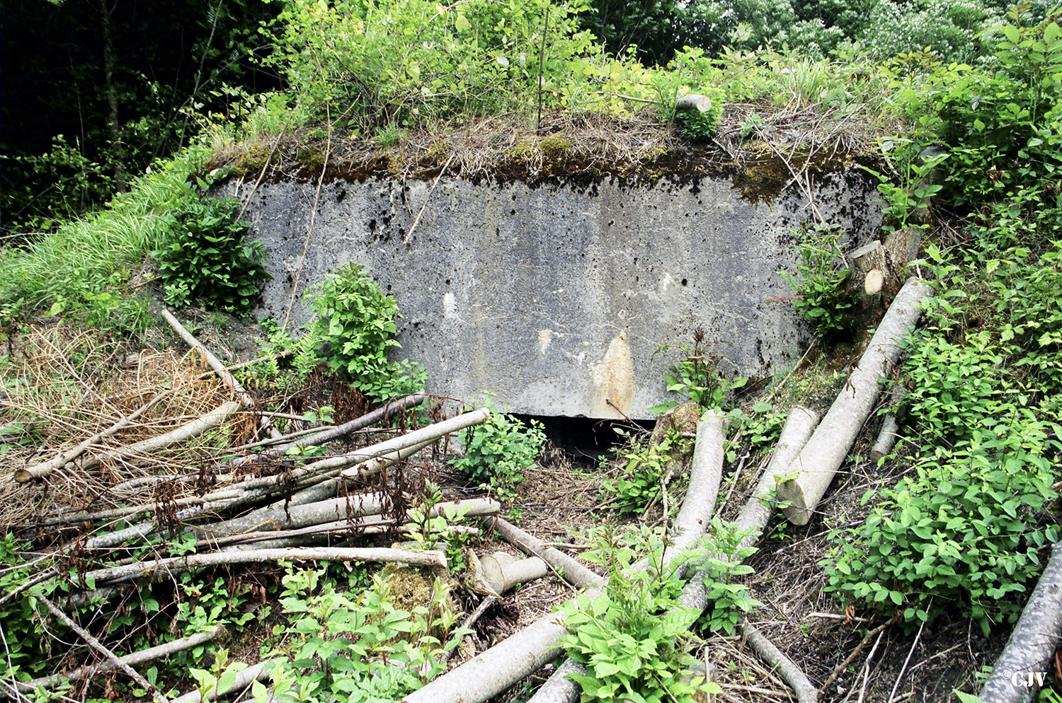 Ligne Maginot - Blockhaus de MONTVALEZAN 1 - 