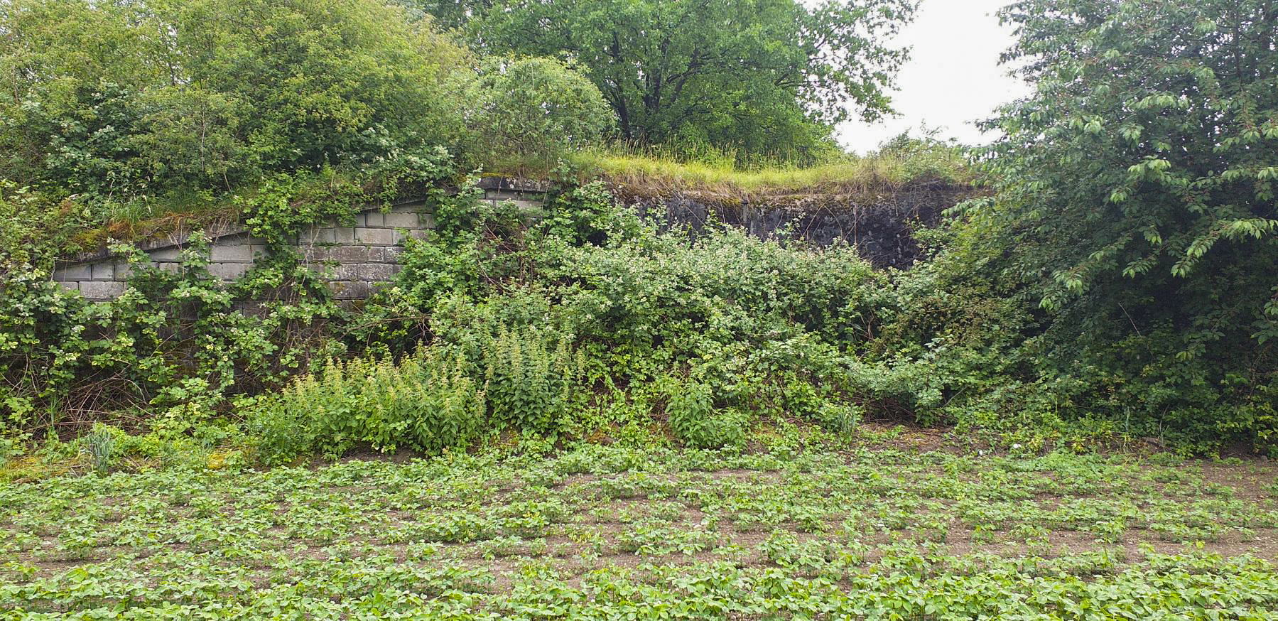 Ligne Maginot - 27BIS/3 - OBERWEIDT - (Casemate d'infanterie - double) - Chambre de tir nord-est