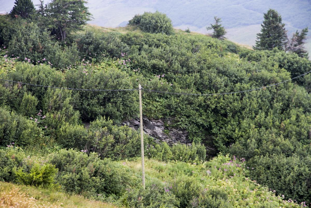 Ligne Maginot - Abri du MOLLARD - Saignée dans la colline devant accueillir l'abri