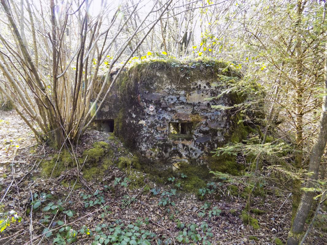 BA106 - ROUTE DE REVIN 3. - (Blockhaus pour arme infanterie)