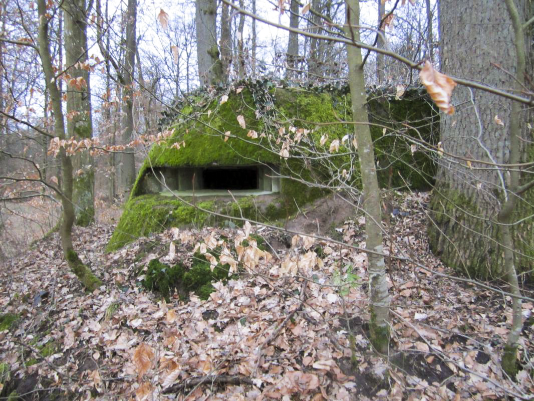 SANDMUEHLE NORD - (Blockhaus pour arme infanterie)