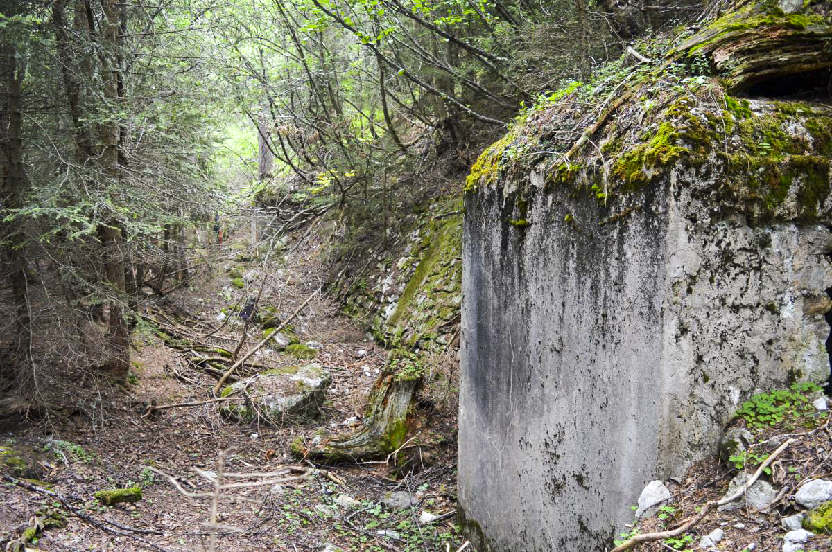 Ligne Maginot - ORGERE - (Abri) - Entrée sud, à l'arrière-plan entrée nord