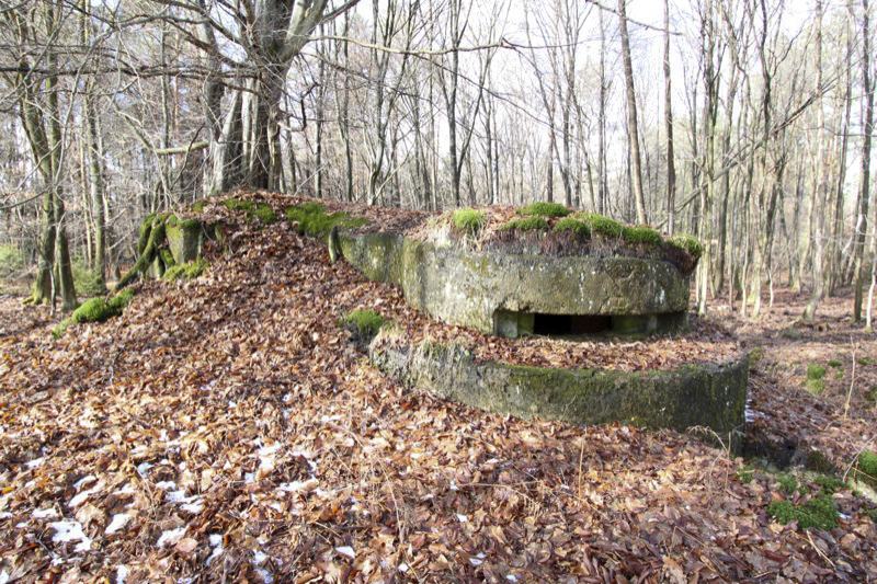 Ligne Maginot - ALLEE DU DEIESLACH 1 - (Blockhaus pour arme infanterie) - 