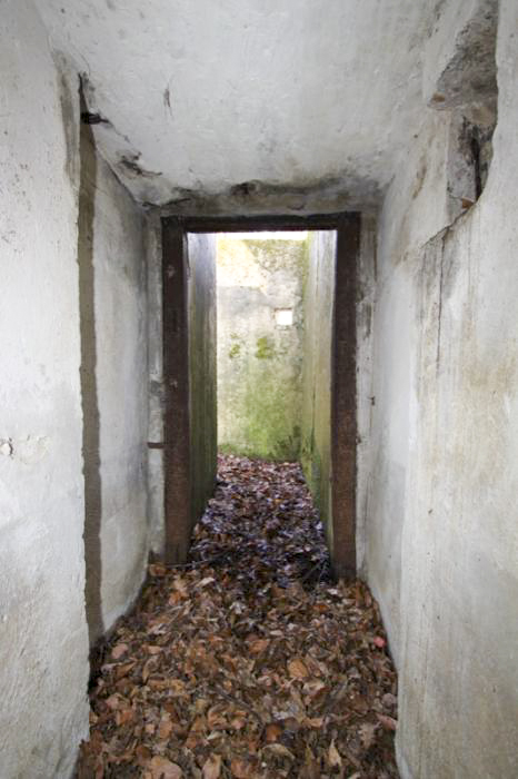 Ligne Maginot - ALLEE DU DEIESLACH 1 - (Blockhaus pour arme infanterie) - 