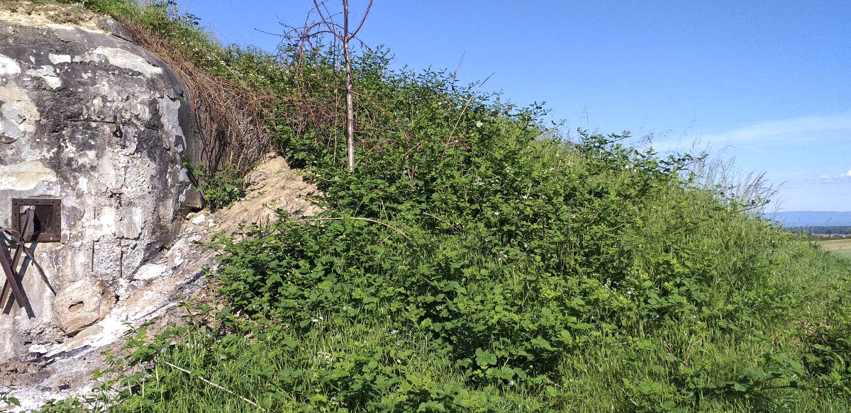 Ligne Maginot - OBERROEDERN NORD - (Casemate d'infanterie - Double) - Façade de la chambre de tir sud-est remblayée