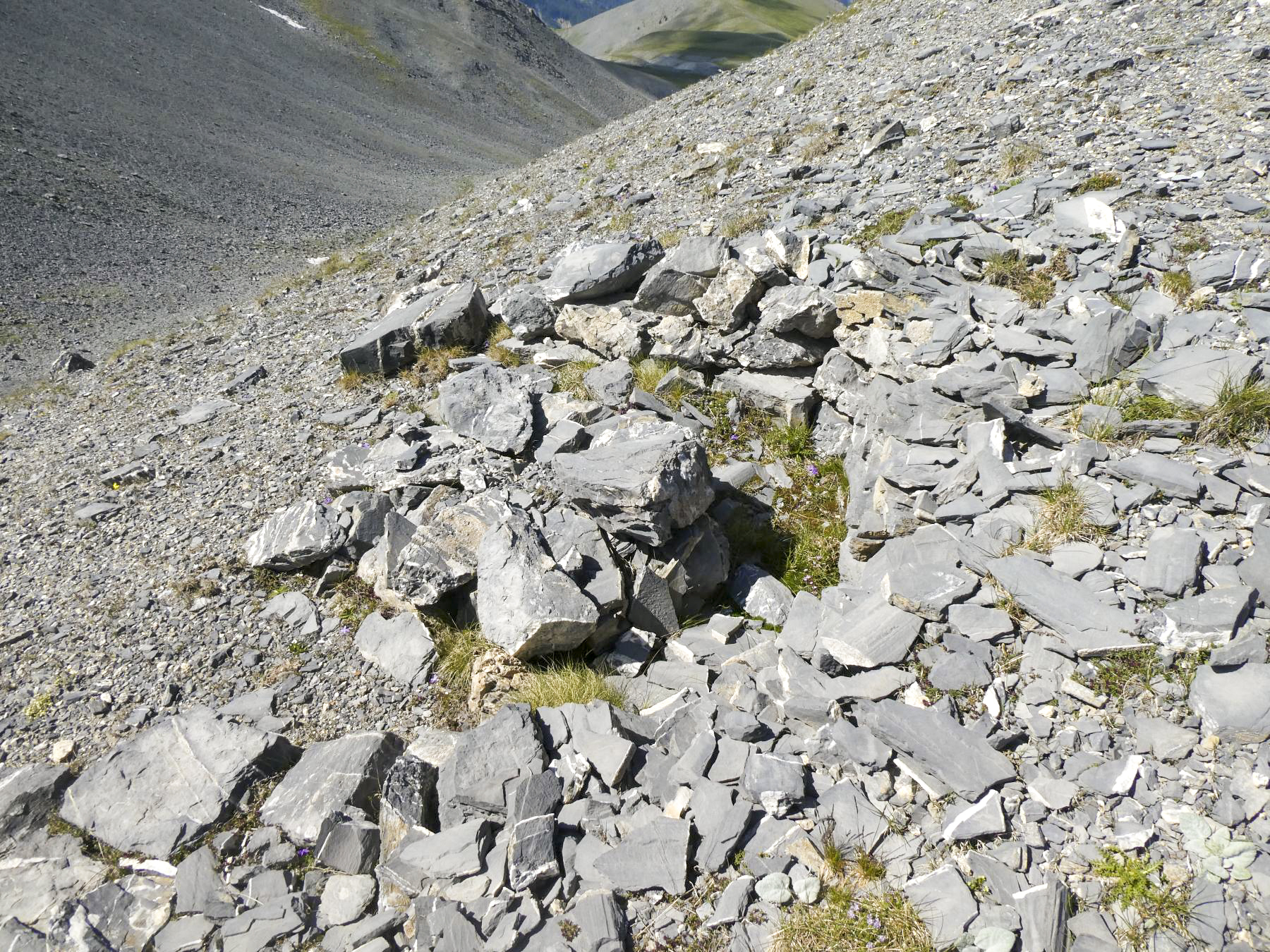 Ligne Maginot - COL DE CROUSETTE - (Divers) - Cuve 4