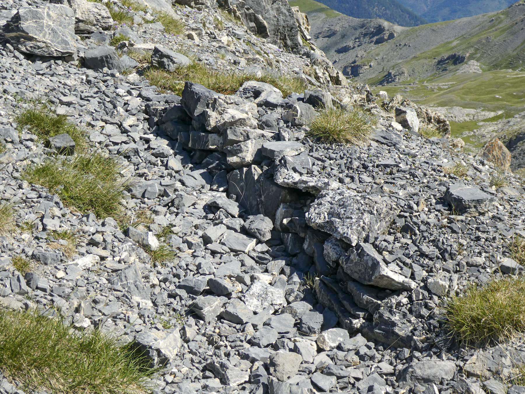 Ligne Maginot - COL DE CROUSETTE - (Divers) - Cuve 6