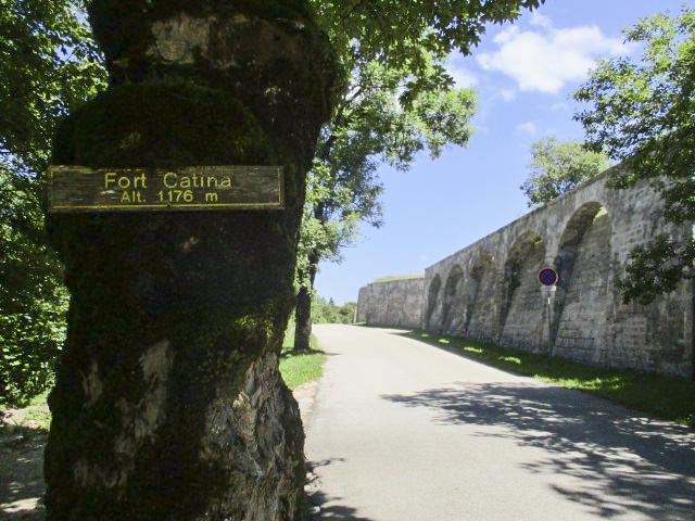 Ligne Maginot - FORT DU LARMONT SUPERIEUR - (Position d'artillerie préparée) - Fort situé à proximité de la route conduisant au chalet de Gounefay.