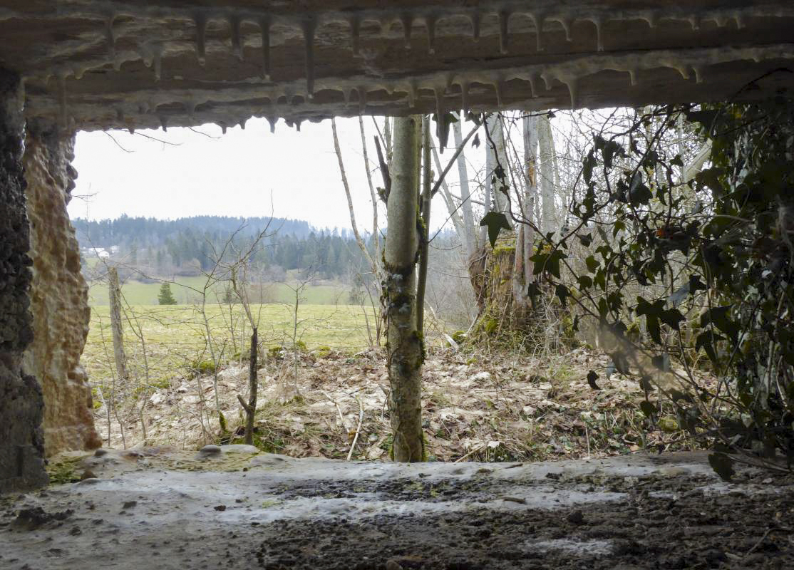 Ligne Maginot - LES CHAZEAUX EST - (Blockhaus de type indeterminé) - 