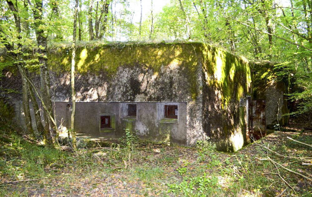 Ligne Maginot - BOIS DE KANFEN OUEST - C42 - (Casemate d'infanterie - Simple) - 