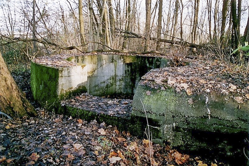 Ligne Maginot - OUVRAGE NEY-RAPP - (Position d'artillerie préparée) - La cuve ouest qui couvrait le front nord de la ceinture de Strasbourg