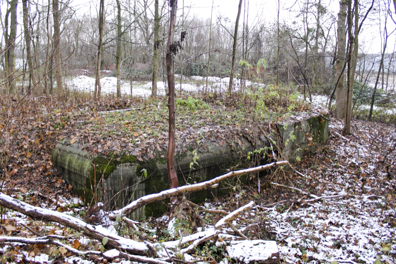 Ligne Maginot - OUVRAGE NEY-RAPP - (Position d'artillerie préparée) - La cuve nord de nos jours