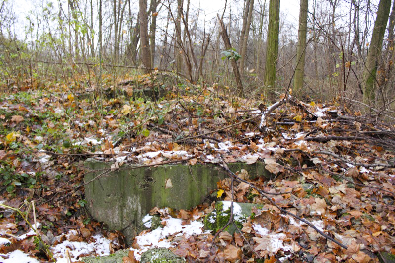 Ligne Maginot - OUVRAGE NEY-RAPP - (Position d'artillerie préparée) - La cuve ouest de nos jours, qui ne se devine que difficilement