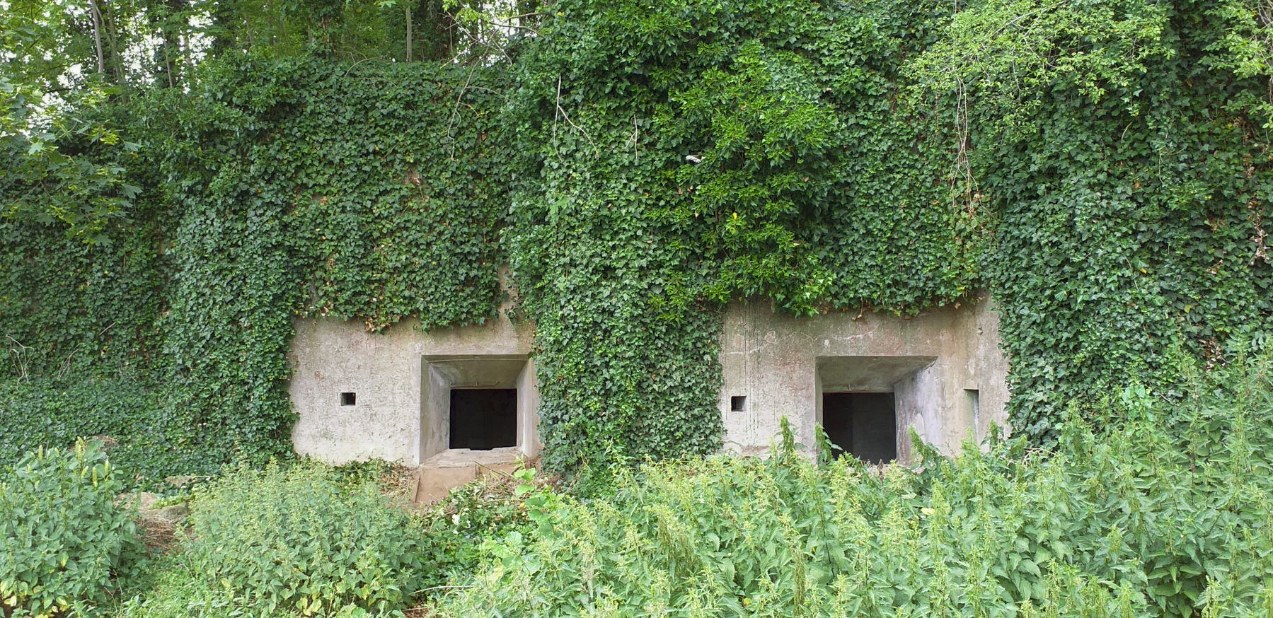 Ligne Maginot - DUCROT EST - (Casemate d'artillerie) - Façade de la chambre de tir