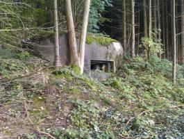 Ligne Maginot - PFAFFENBRONN 3 - (Blockhaus pour arme infanterie) - Le créneau pour mitrailleuse