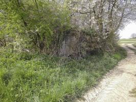 Ligne Maginot - BOIS DE HOFFEN 1 - (Blockhaus pour canon) - Le blockhaus toujours visible au bord du chemin agricole