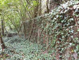 Ligne Maginot - BOIS DE HOFFEN - (Casernement) - Fondation