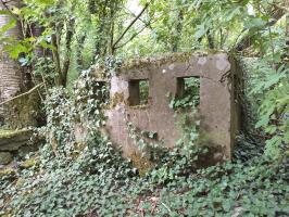 Ligne Maginot - BOIS DE HOFFEN - (Casernement) - 