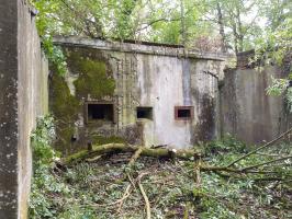 Ligne Maginot - LEITERSWILLER-OBERROEDERN - (Stand de tir) - Créneaux de la chambre de tir pour armement CORF