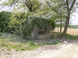 Ligne Maginot - Blockhaus de l'Oberfeld - Vue générale extérieure