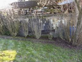 Ligne Maginot - Blockhaus d'OBERROEDERN - Ouverture arrière coté ouest