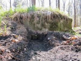 Ligne Maginot - BOIS DE RITTERSHOFFEN b - (Blockhaus pour arme infanterie) - Créneau droit