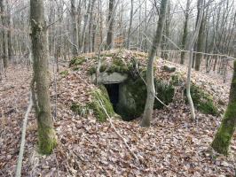 Ligne Maginot - BOIS de RITTERSHOFFEN b (Blockhaus pour arme infanterie) - 