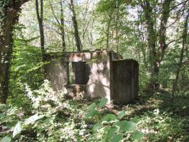 Ligne Maginot - ELZANGE - (Camp de sureté) - Les ruines du camp
Local pompes (?) qui se trouve à coté du baraquement des sanitaires.