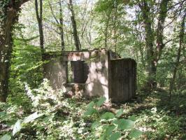 Ligne Maginot - ELZANGE - (Camp de sureté) - Les ruines du camp
Local pompes (?) qui se trouve à coté du baraquement des sanitaires.