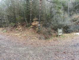 Ligne Maginot - COL DU WIEP 2 - (Blockhaus de type indeterminé) - 