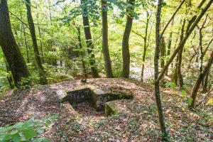 Ligne Maginot - CIMETIERE DE SOUFFLENHEIM 1 - (Cuve pour arme d'infanterie) - 