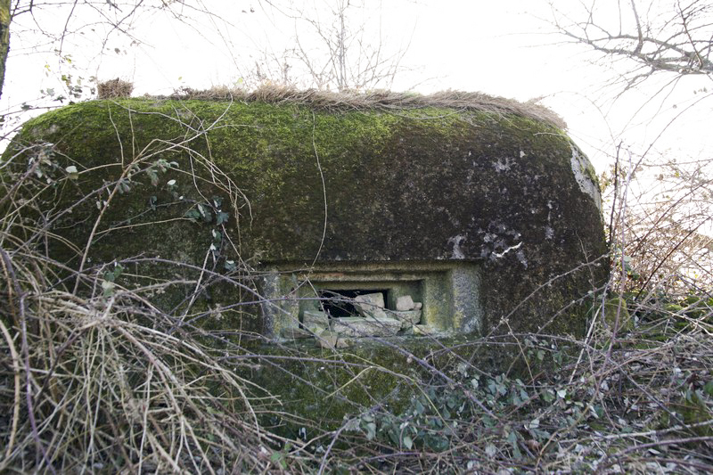 Ligne Maginot - PFAFFENBRONN 8 - (Blockhaus pour arme infanterie) - Créneau pour mitrailleuse