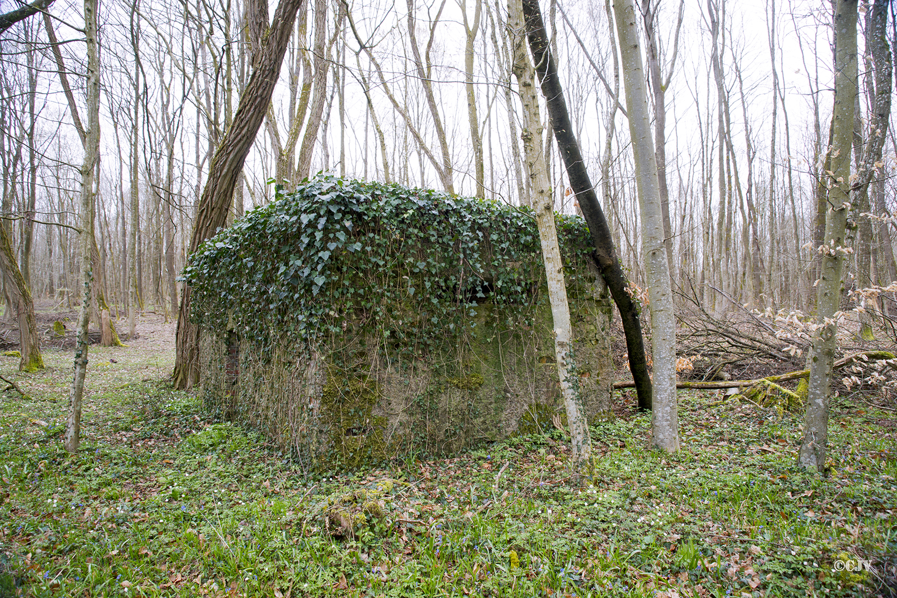 Ligne Maginot - ROUTE d'ESCHBACH ( Blockhaus pour arme infanterie ) - 