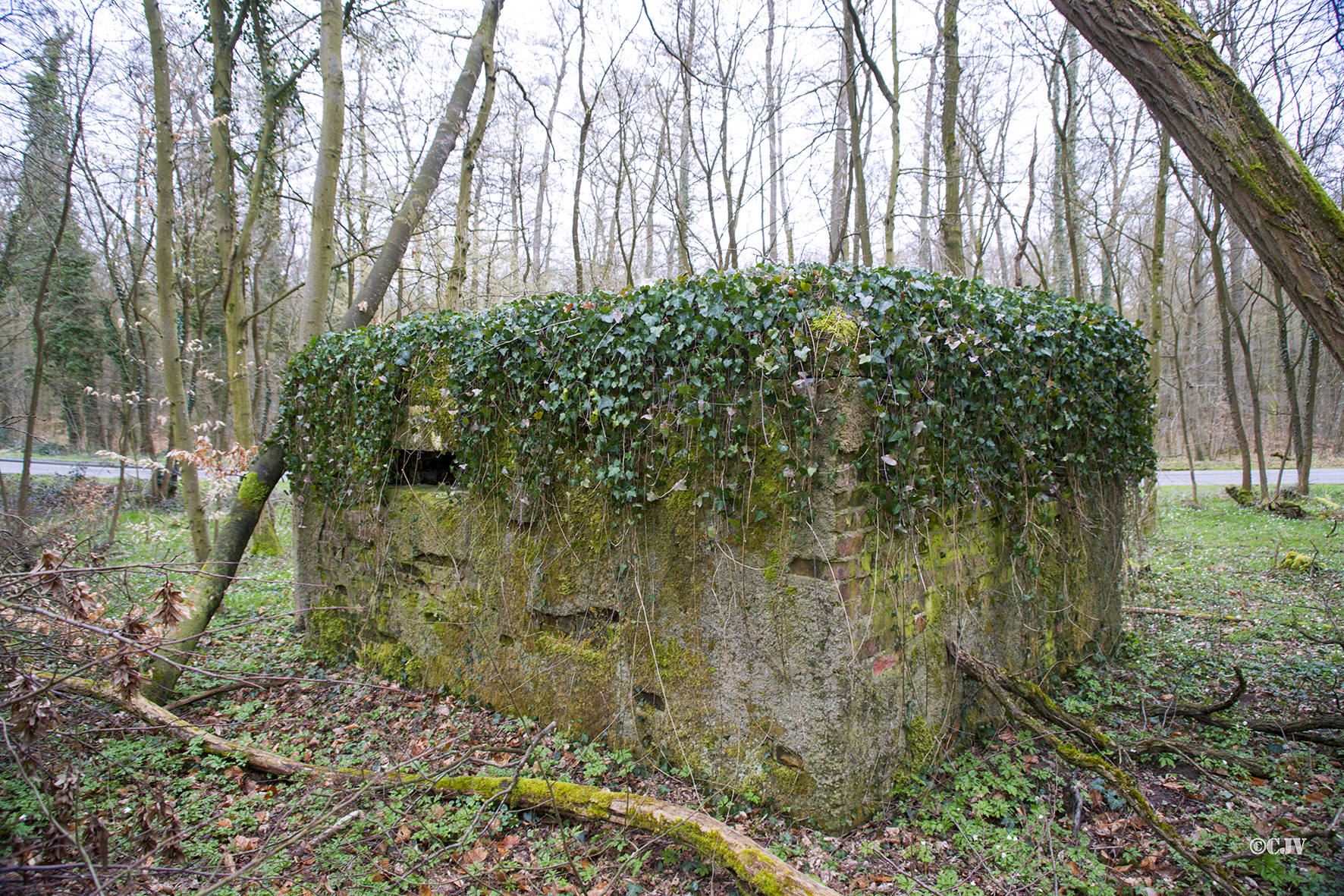 Ligne Maginot - ROUTE d'ESCHBACH ( Blockhaus pour arme infanterie ) - 