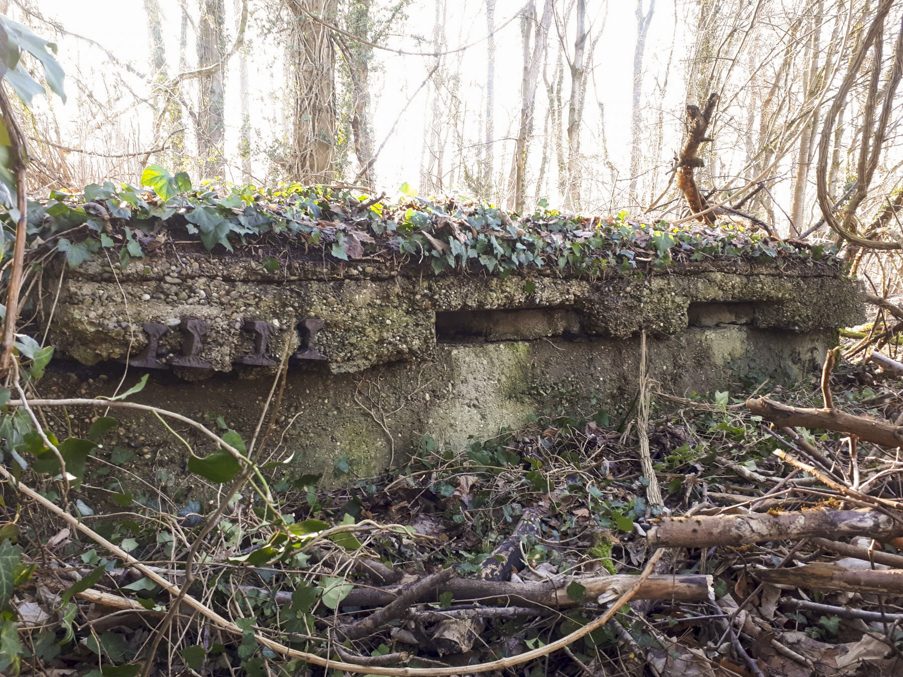 Ligne Maginot - WALDHOF CENTRE - (Blockhaus pour arme infanterie) - Vue de face, on distingue nettement les rails et la dalle de couverture posé par les français