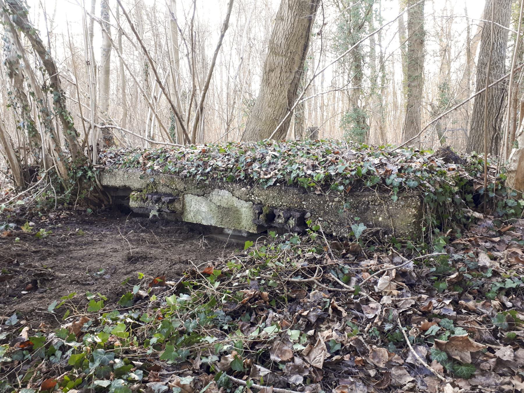 Ligne Maginot - WALDHOF EST - (Blockhaus pour arme infanterie) - Vue de face, on distingue nettement les rails et la dalle de couverture posé par les français