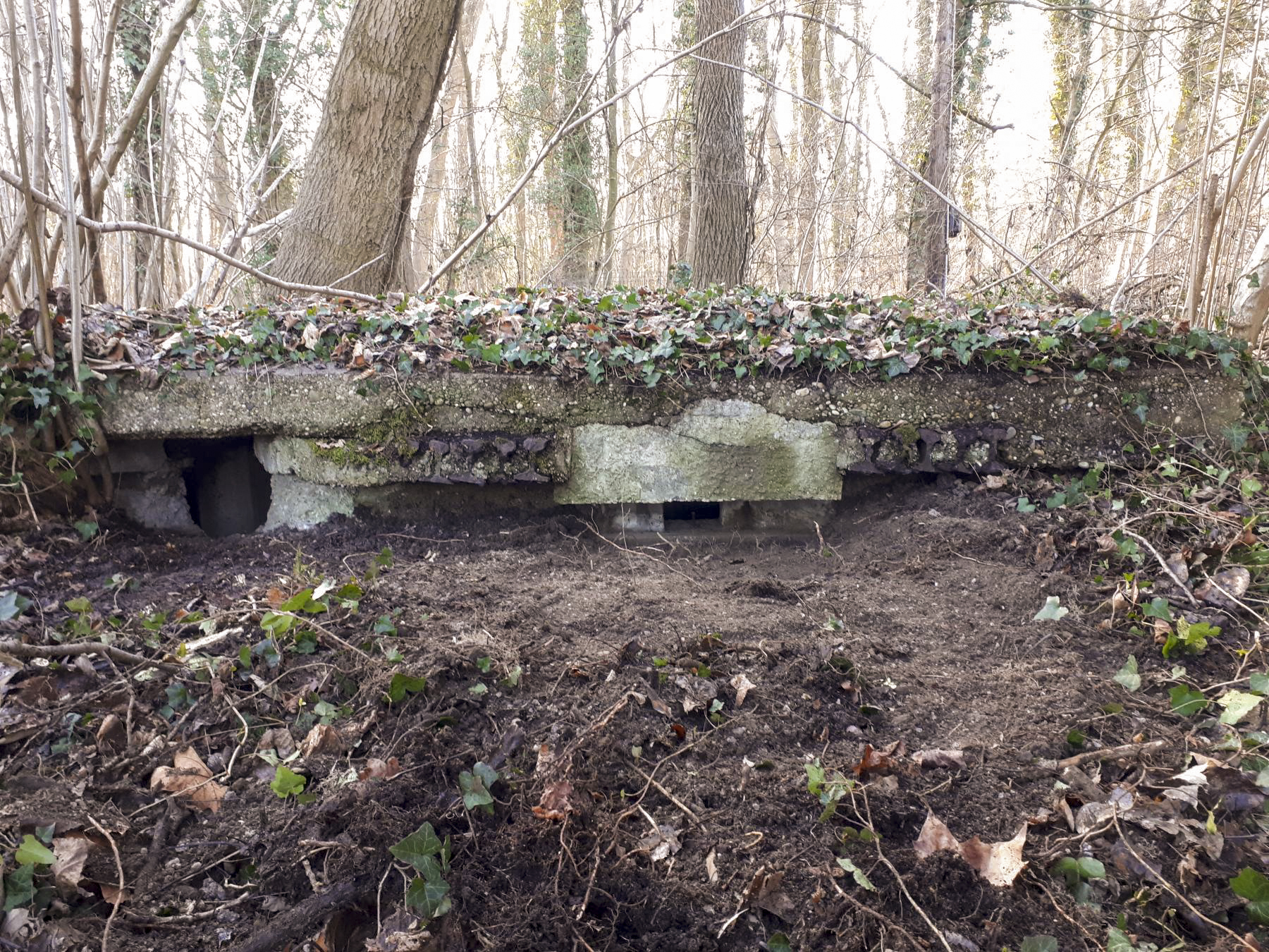 Ligne Maginot - WALDHOF EST - (Blockhaus pour arme infanterie) - Les 2 créneaux