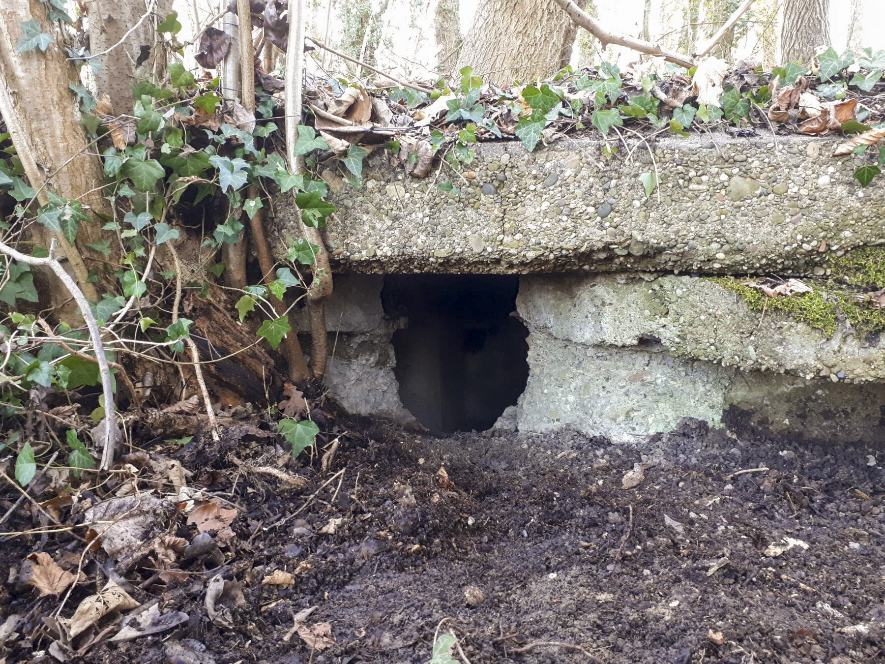 Ligne Maginot - WALDHOF EST - (Blockhaus pour arme infanterie) - Détail du créneau droit 