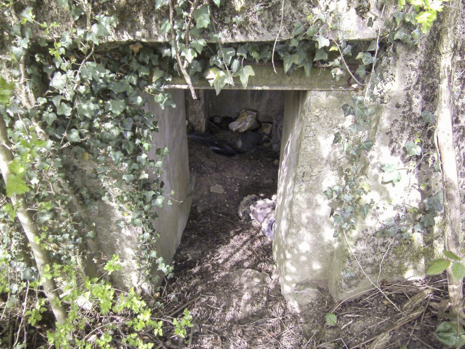 Ligne Maginot - BOIS DE HOFFEN 1 - (Blockhaus pour canon) - L'entrée réduite pour le personnel